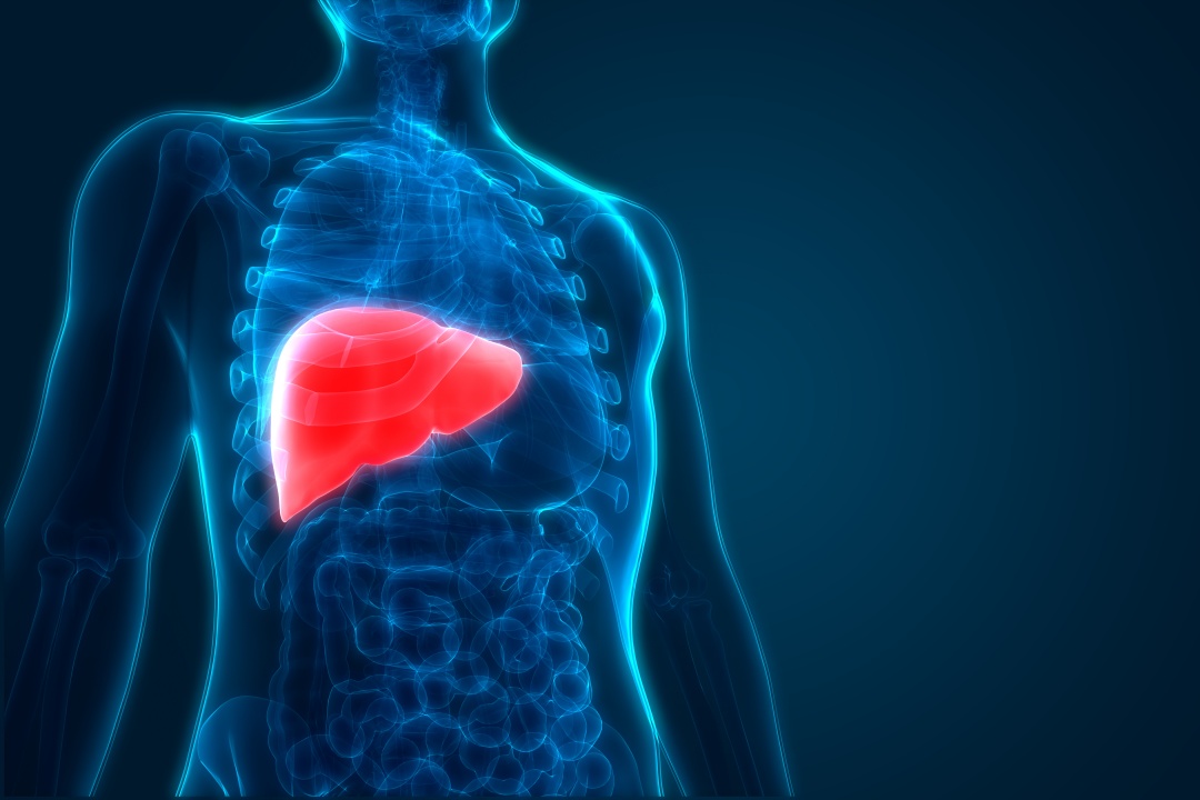 Liver Cancer Symptoms, Causes, Risk Factors and Treatments