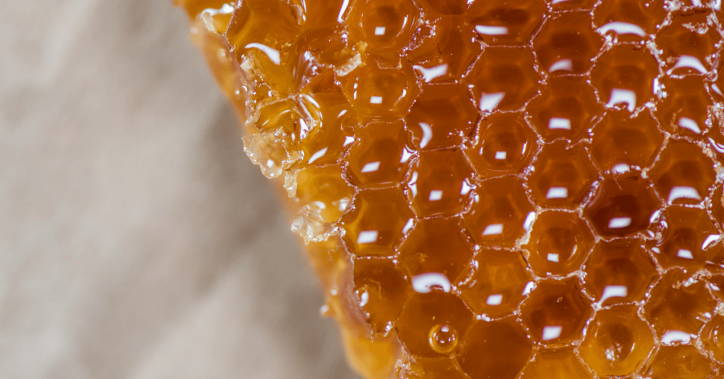 The Benefits of Honey For Fungating Cancer Wounds