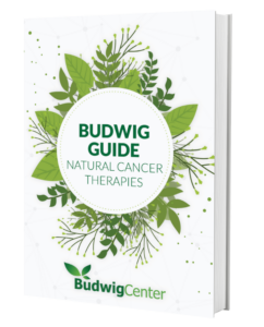 download the budwig guide