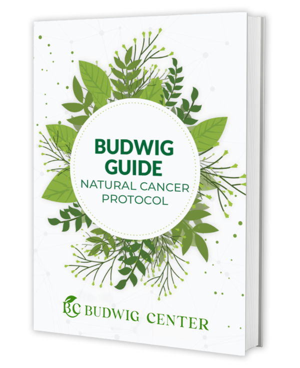 Budwig guide e-book