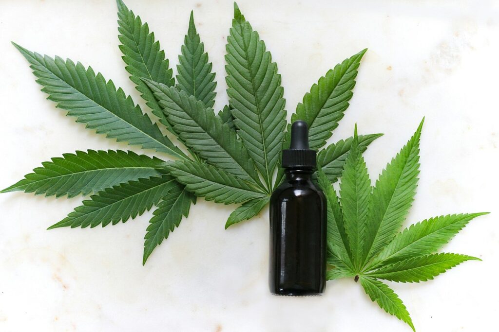 cannabis and CBD oils for Cancer